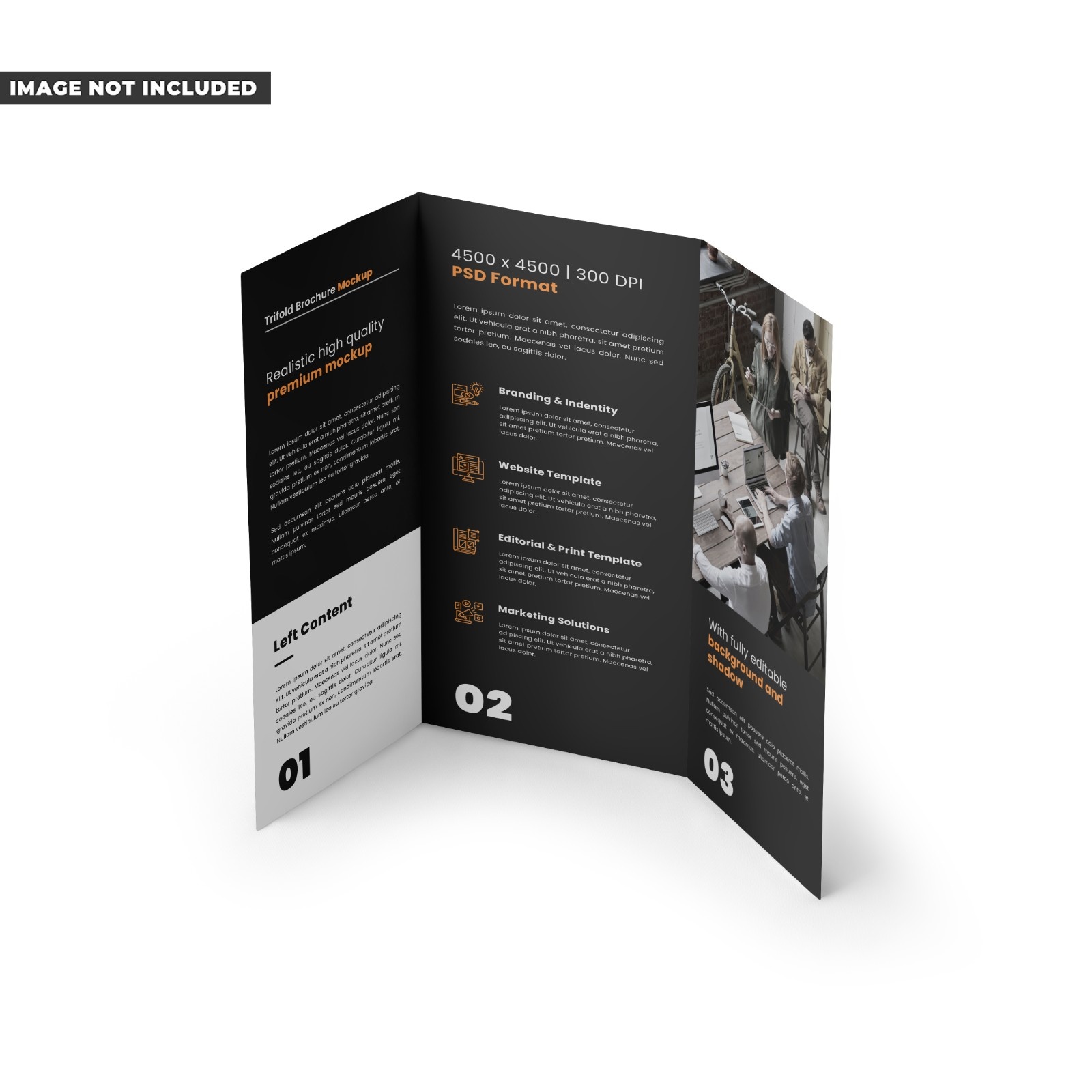 Tri Fold Brochures